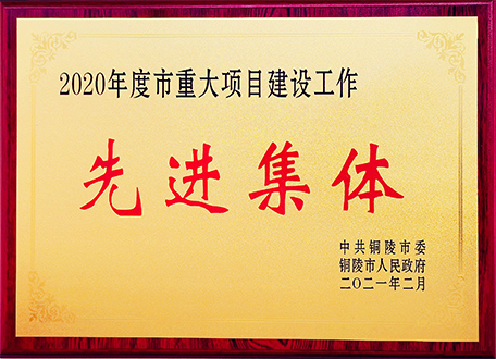 安徽富樂德長江半導體材料股份有限公司榮獲2020年度銅陵市重大項目建設工作先進集體獎牌